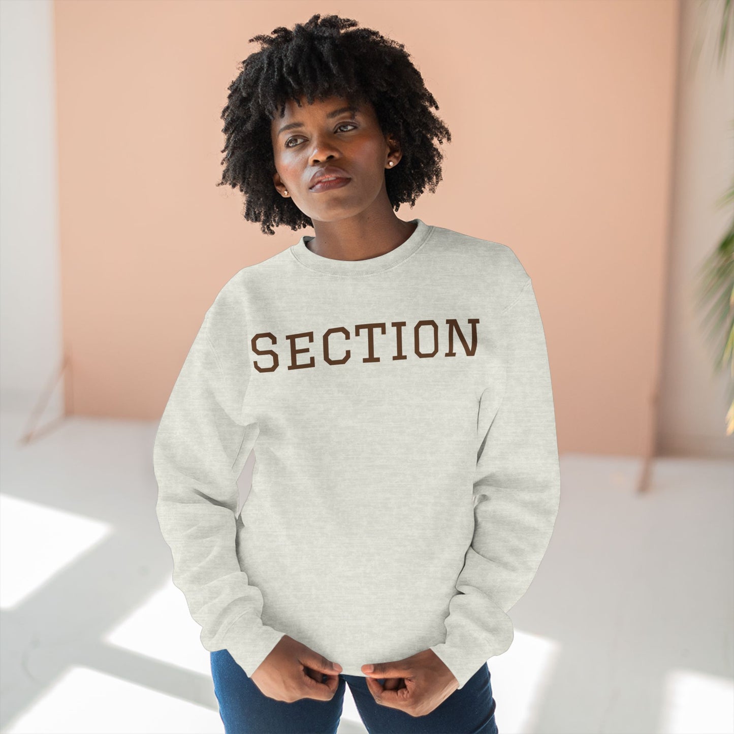 Section Sweatshirt